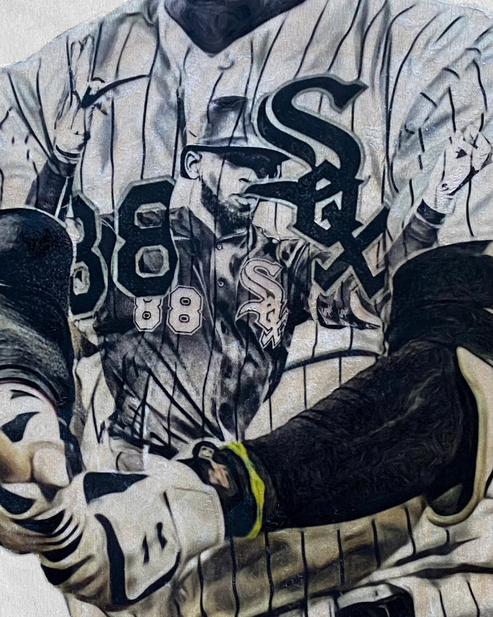 Chicago White Sox - La Pantera has arrived.