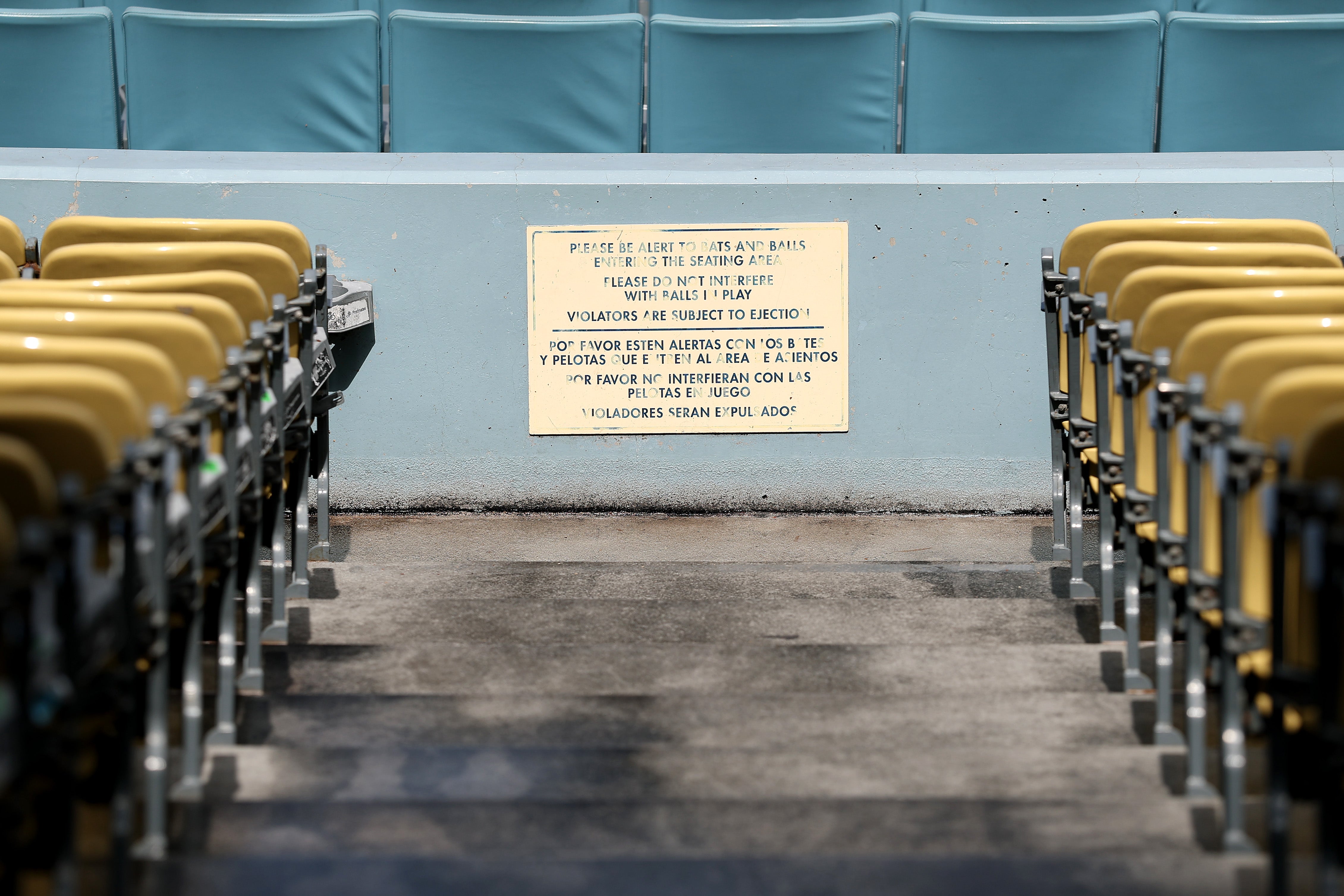 "NINE" (Los Angeles Dodgers) 2025 World Series Champions - Officially Licensed MLB Print - Limited Release /1000