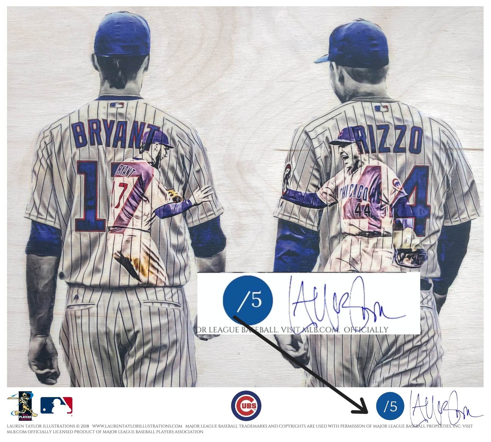 Anthony Rizzo Chicago Cubs Framed Autographed Pinstripe Jersey Collage