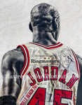 "1995/1996" (Michael Jordan) Chicago Bulls - 1/1 ORIGINAL on Birchwood